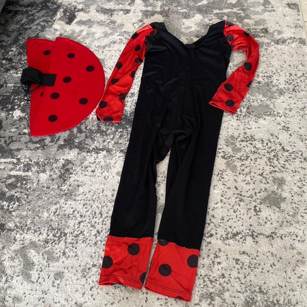 Little Girls Ladybug Halloween Costume